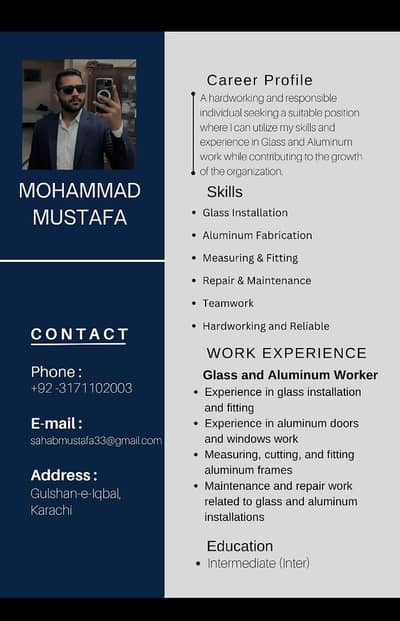 we make professional cv for you. 03705245794