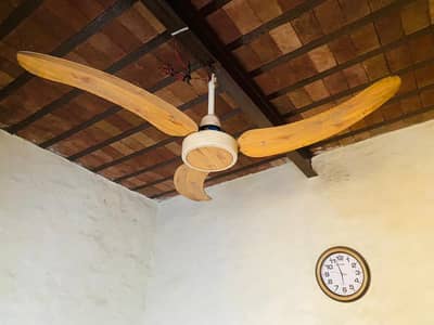 Two fan