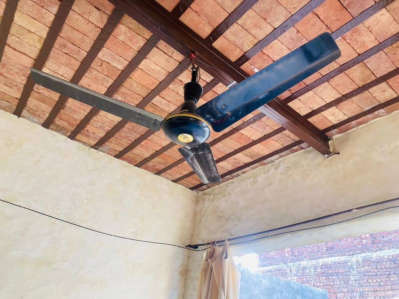Two fan 1