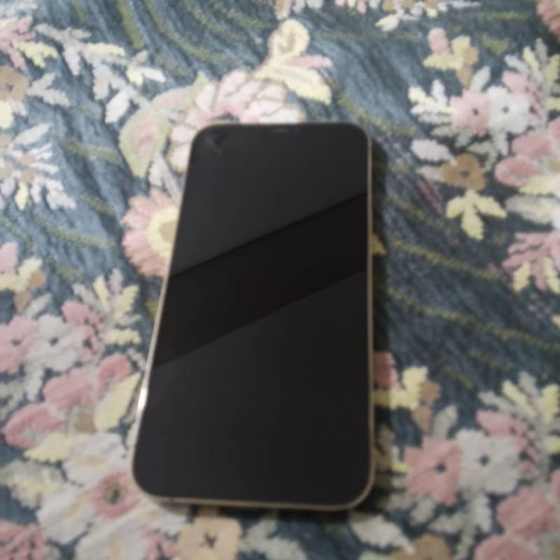 iPhone 12 pro max 3