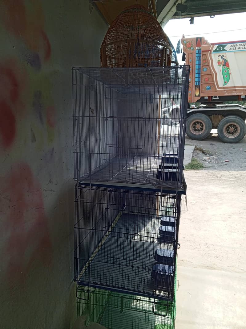 cages 1