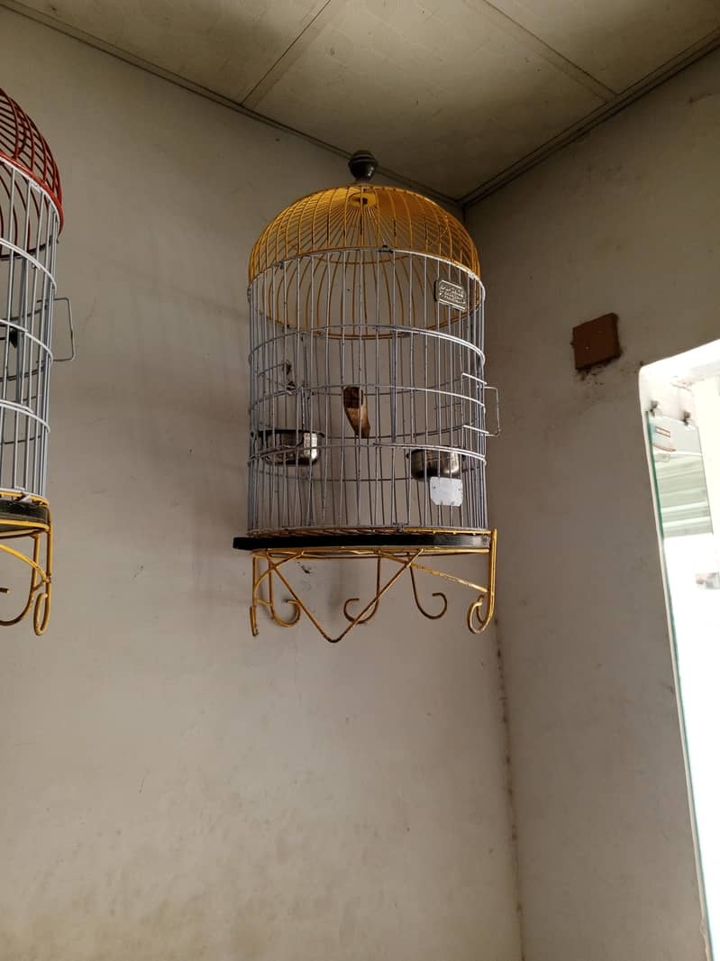 cages 5