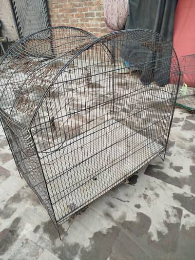 Parrot Cage For selling