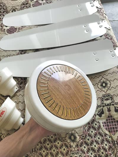 Royal Ceiling Fan