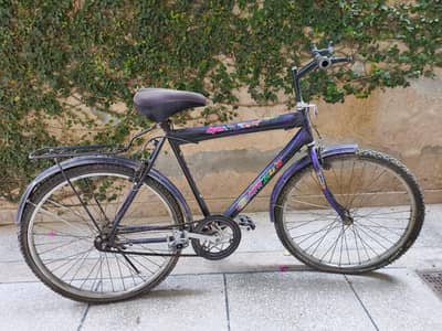 Cheap Bicycle