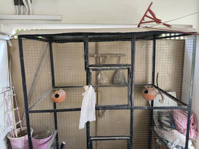Big cage available for sale