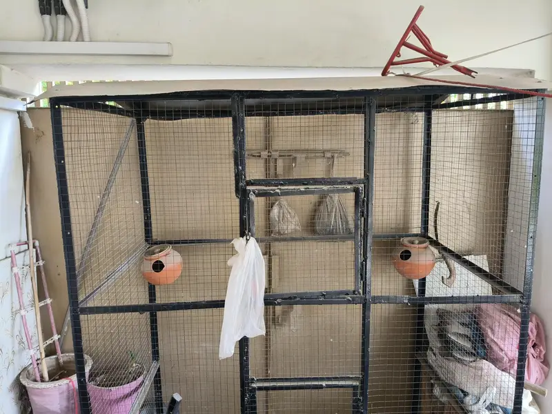Big cage available for sale