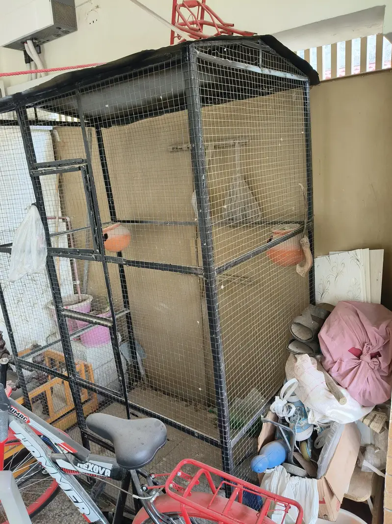 Big cage available for sale — photo 3