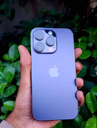 iphone 14 pro pta
