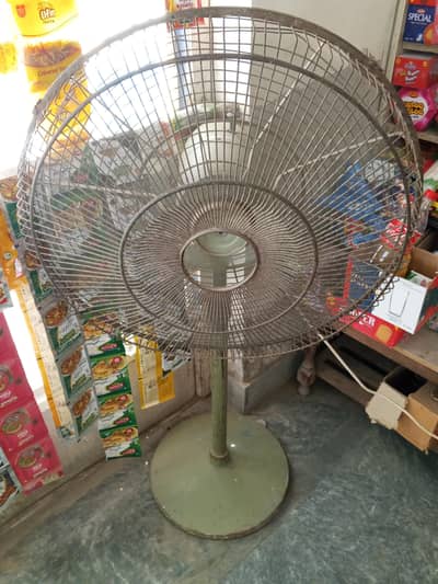 Farshi Fan