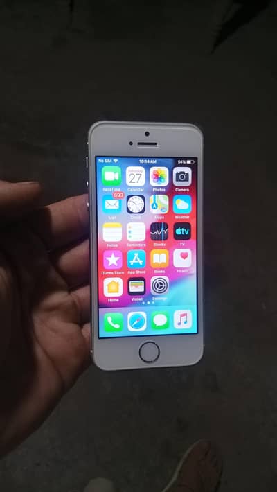 Apple iPhone 5s