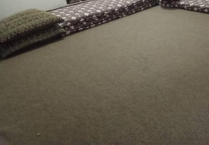 Room size Carpet