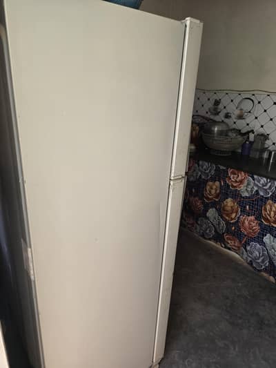 LG fridge full size