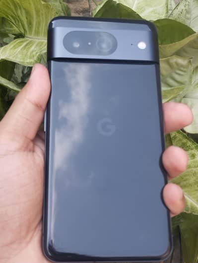 Google Pixel 8 official pta approved