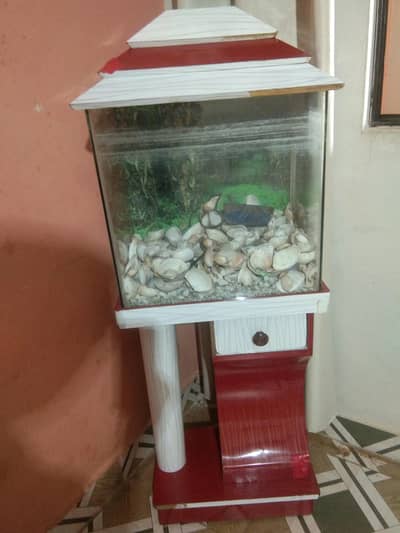 Aquarium