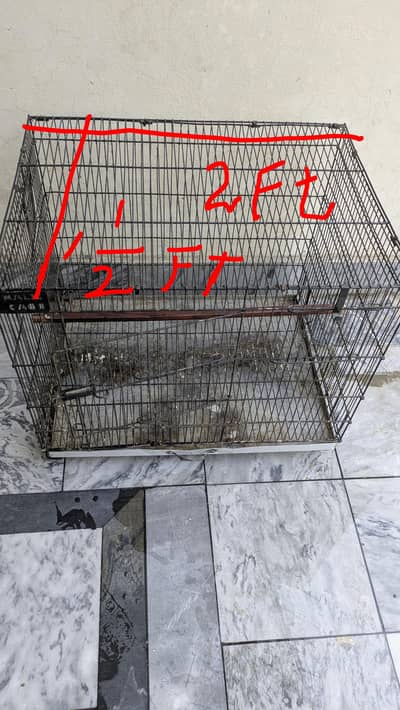 cage for parrots & love birds03125600555