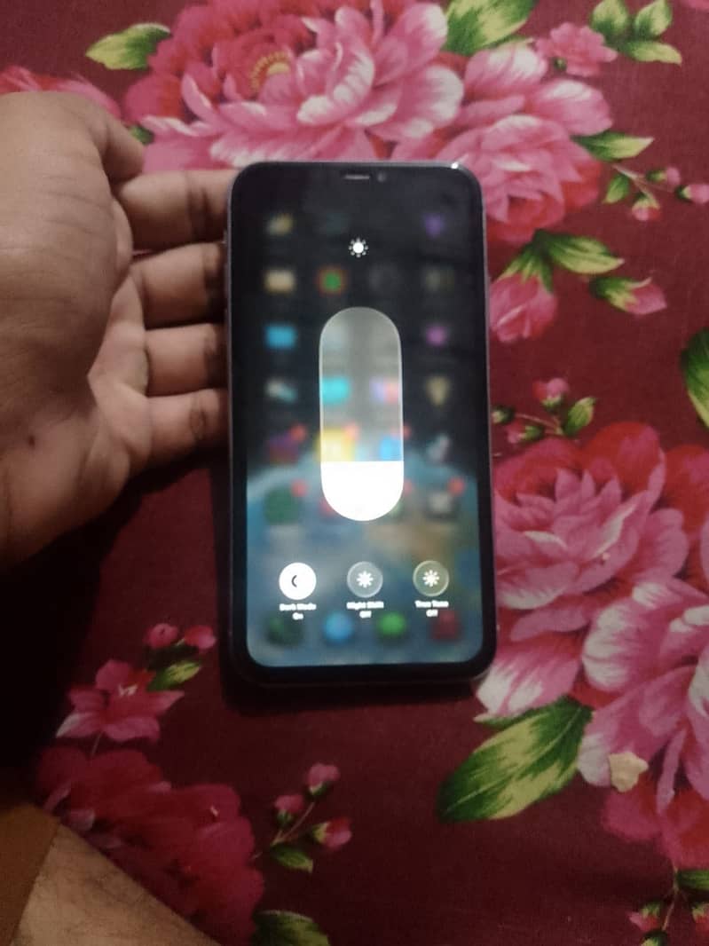 Apple iPhone 11 1