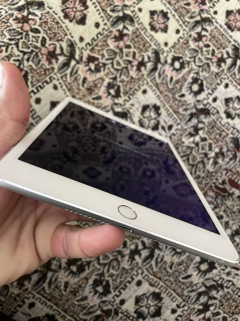 iPad mini 4 , 128 1
