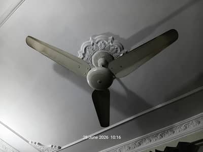 ceeling Fans for sale
