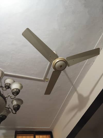 GFC Ceiling Fans