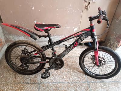 Morgan mountain pioneer bicycle original brand cycle