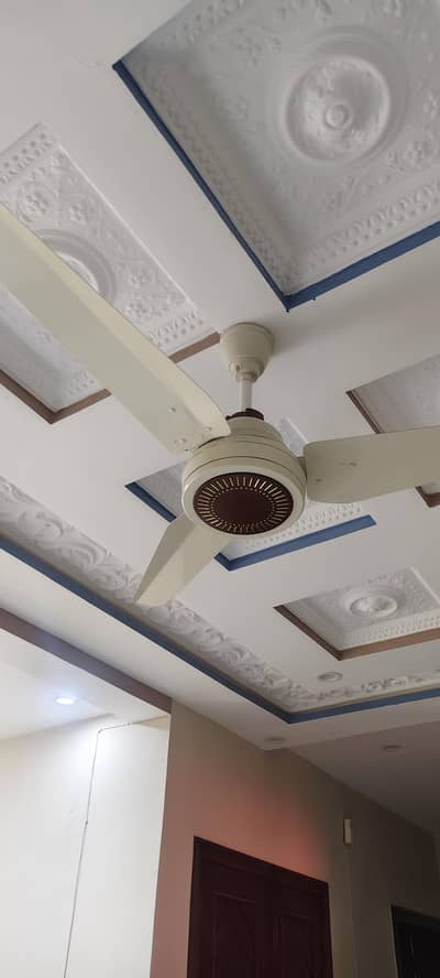 celling fans