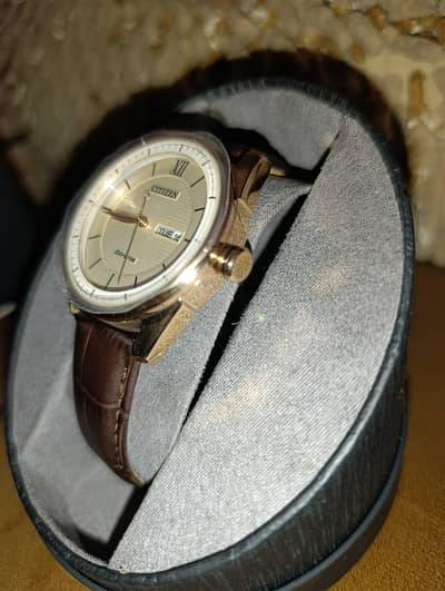 Dubai Import original citizen watch