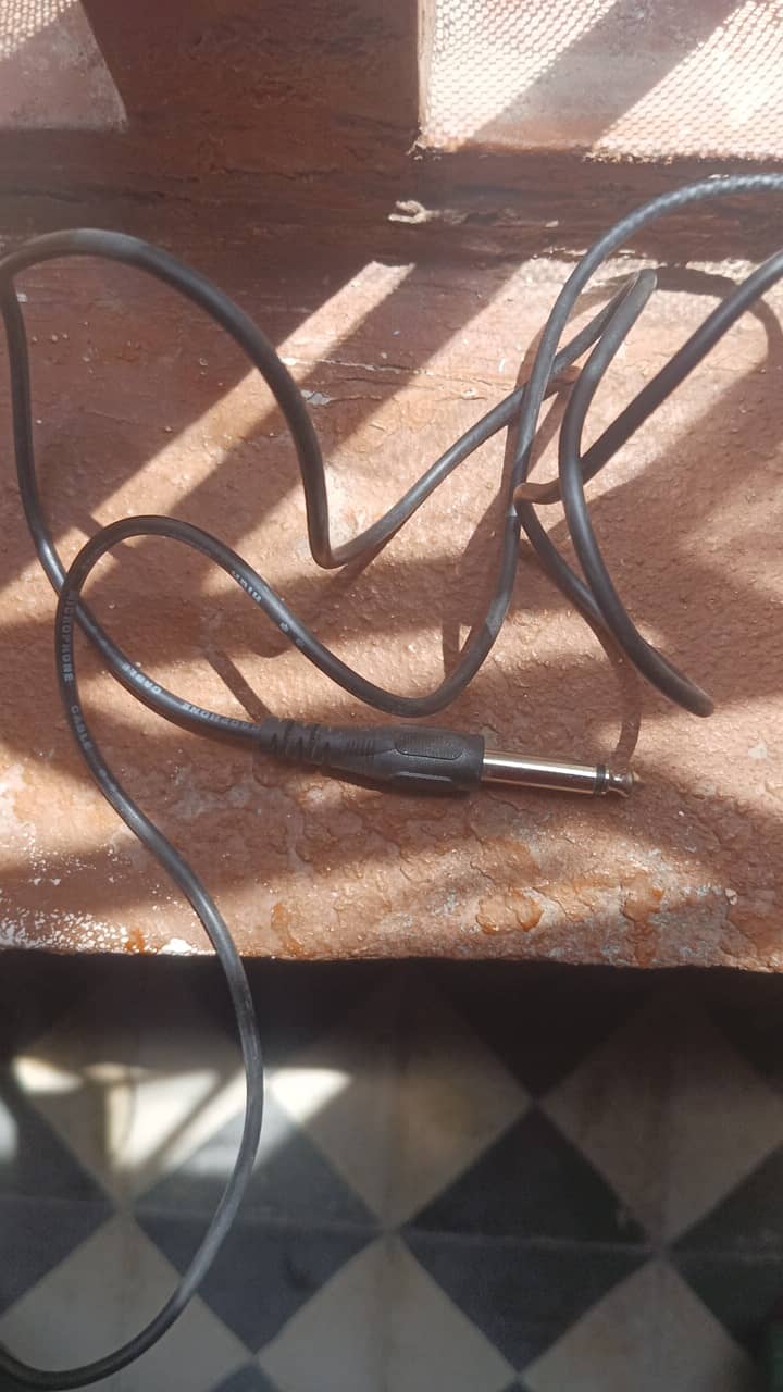Wire mic 2