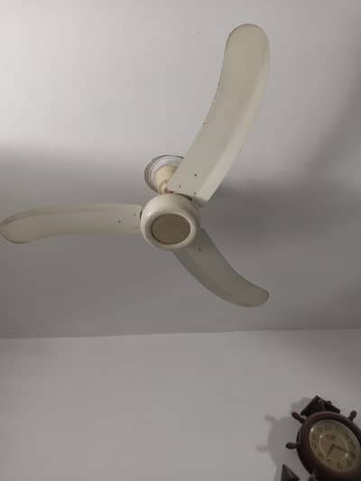 Pak Fan 56"  100% copper urgent sale