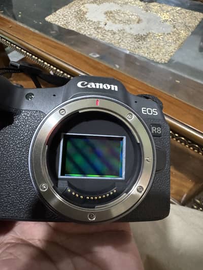 Cannon R8 mirror less with 24-50 lense