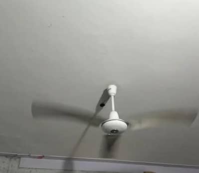 Royal fan 100% coper winding