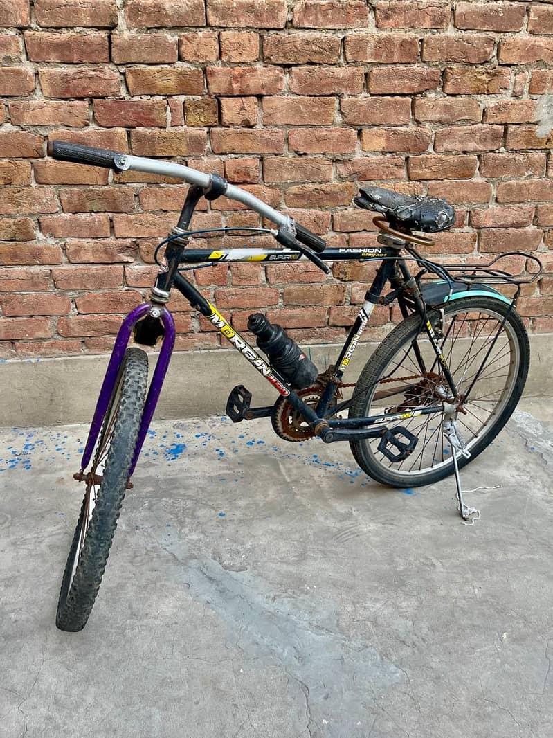Morgan cycle  0