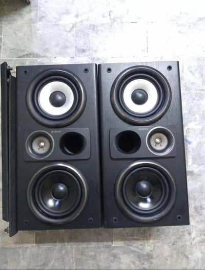 Sony Speaker Double 6"
