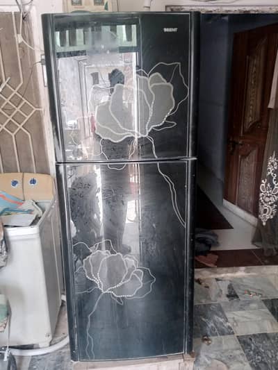 orient refrigerator fridge