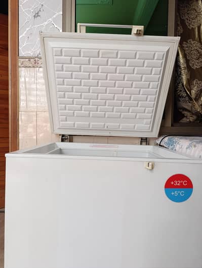 imported D Freezer