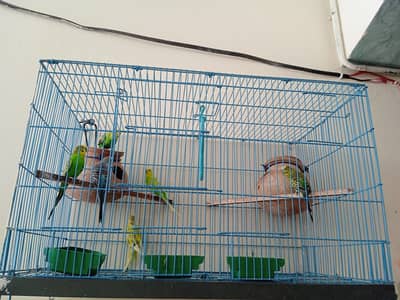 3 Pair for sale with cage 03015816205