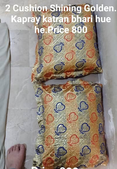 2 Floor Cushion hen Shining Golden