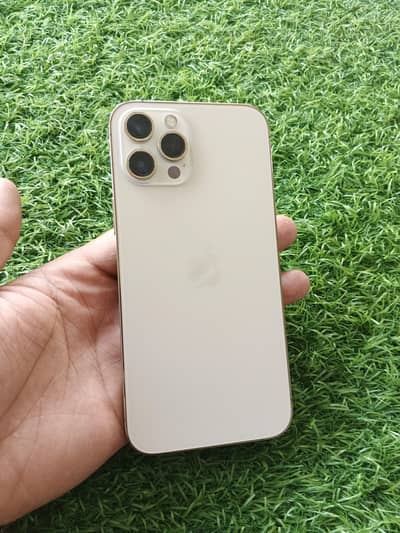 Apple iPhone 12 Pro Max