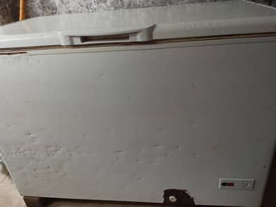 d freezer used in milk shop Condition used ha Colling best ha