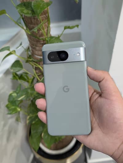Google Pixel 8 shoreline panel