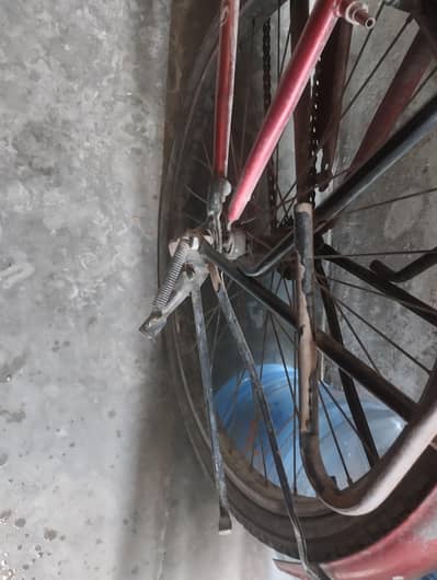 sports cycle urgent sale