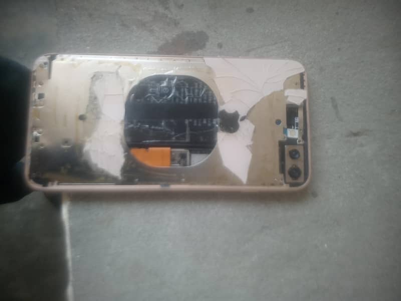 Apple iPhone 8 Plus 0