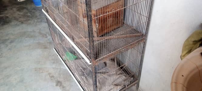 Cage for parrots and lovebirds
