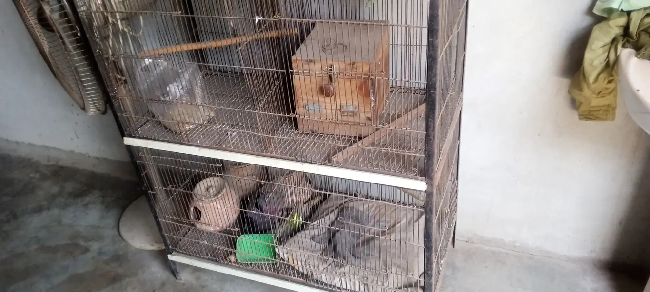 Cage for parrots and lovebirds — photo 2