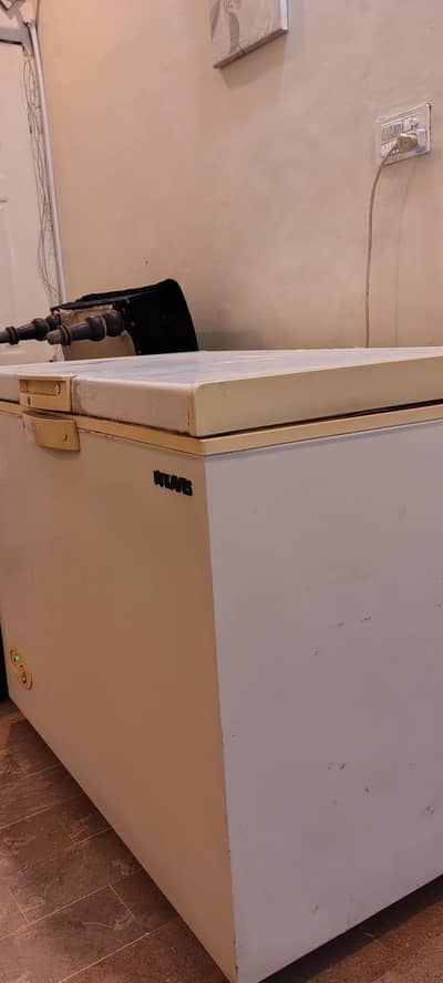 waves deep freezer