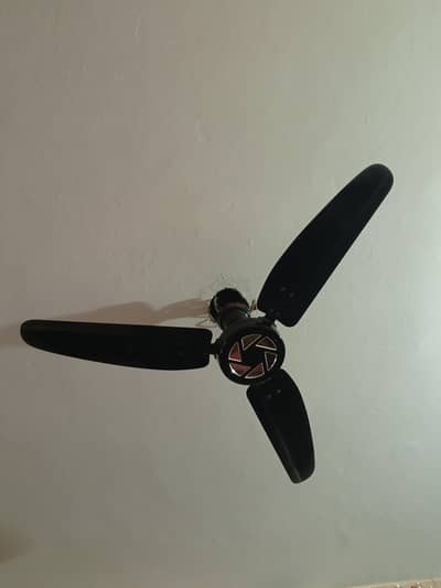 Royal fan for sale