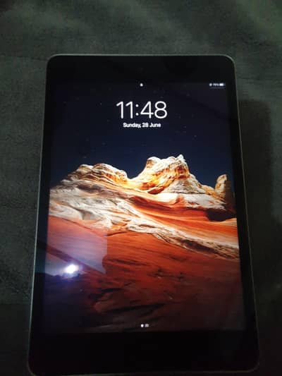 ipad mini 4