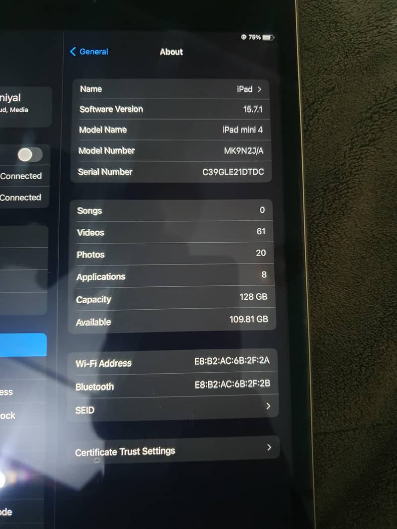 ipad mini 4 2