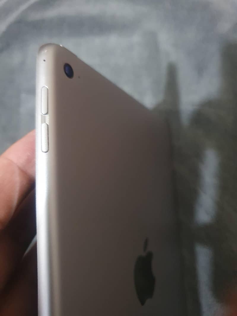 ipad mini 4 6