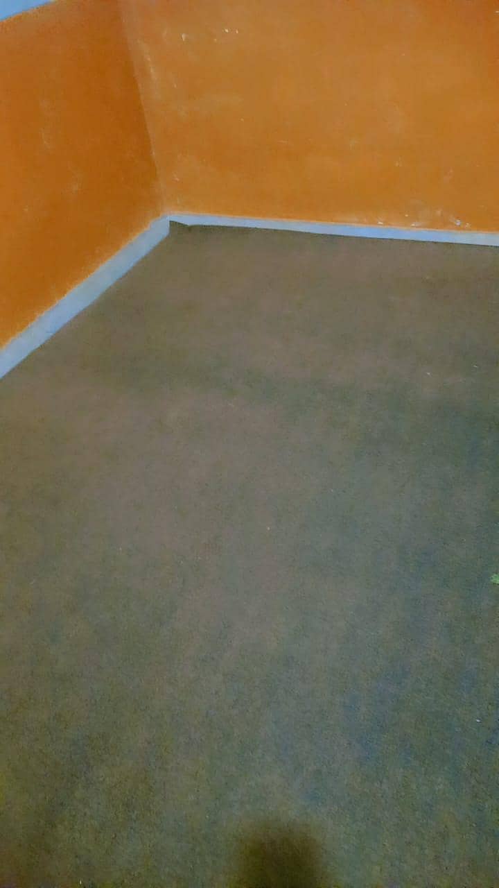 Carpet 0